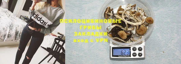 трава Богородицк