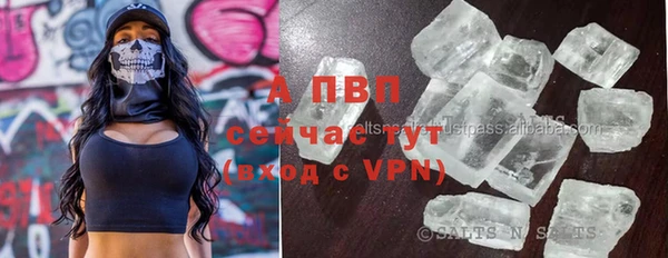 спайс Беломорск