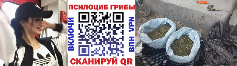 Псилоцибиновые грибы MAGIC MUSHROOMS  наркота  Северская 
